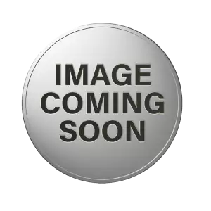 2026 1 oz American Silver Eagle Coin
