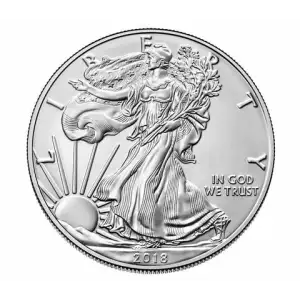 2018 1oz American Silver Eagle (2)